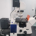 倒置荧光显微镜