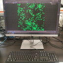 尼康A1R图片处理系统
