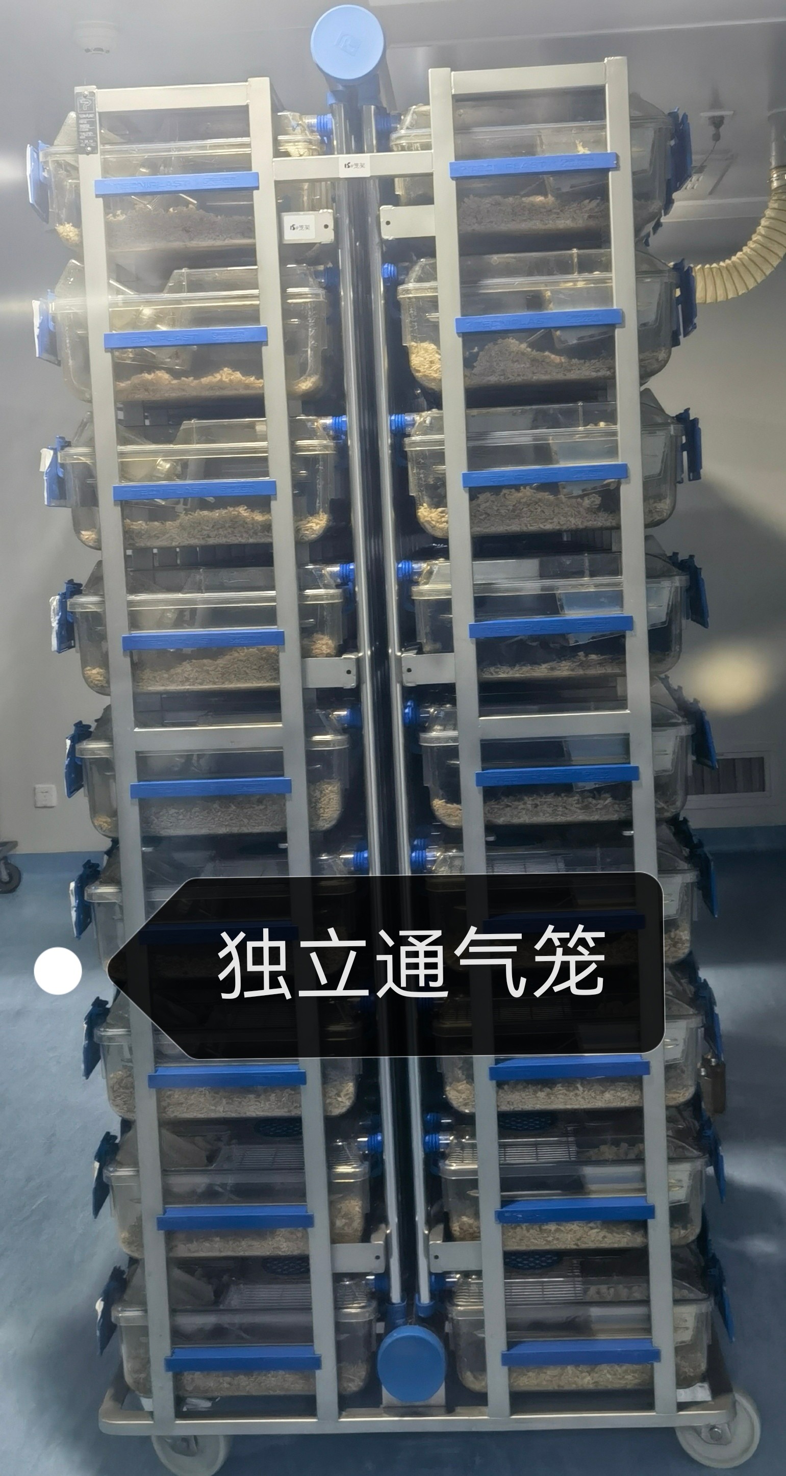 独立通气笼（双面）